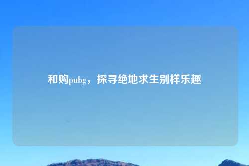 和购pubg，探寻绝地求生别样乐趣