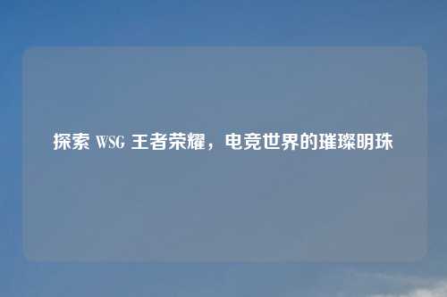 探索 WSG 王者荣耀，电竞世界的璀璨明珠