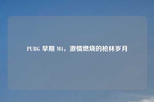 PUBG 早期 M4，激情燃烧的枪林岁月