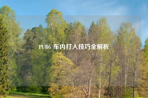 PUBG 车内打人技巧全解析