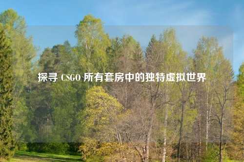 探寻 CSGO 所有套房中的独特虚拟世界