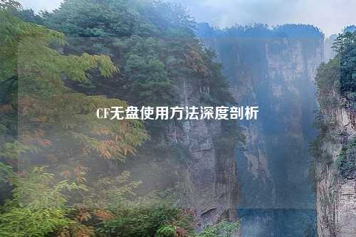 CF无盘使用方法深度剖析