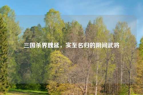 三国杀界魏延，实至名归的阴间武将