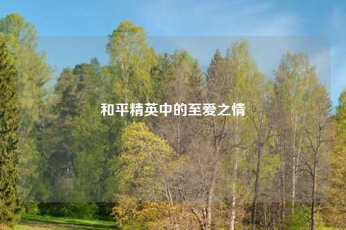 和平精英中的至爱之情