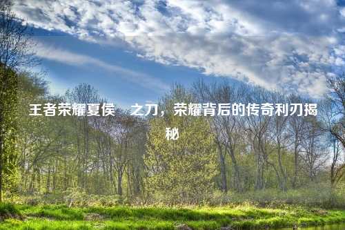 王者荣耀夏侯惇之刀，荣耀背后的传奇利刃揭秘