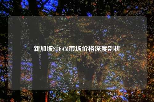 新加坡STEAM市场价格深度剖析