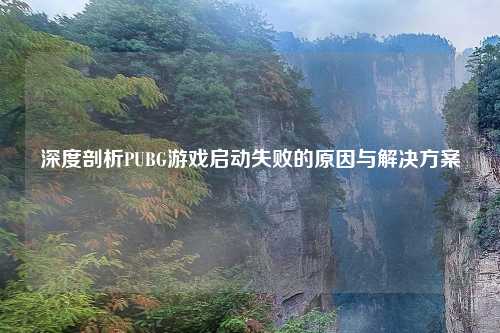 深度剖析PUBG游戏启动失败的原因与解决方案