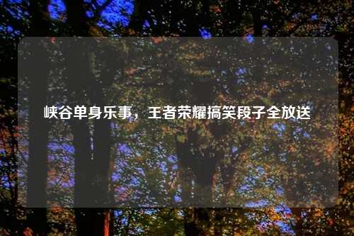 峡谷单身乐事，王者荣耀搞笑段子全放送