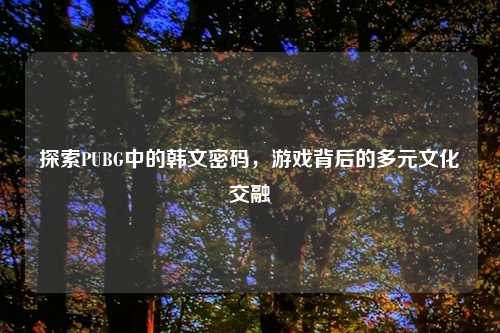 探索PUBG中的韩文密码，游戏背后的多元文化交融