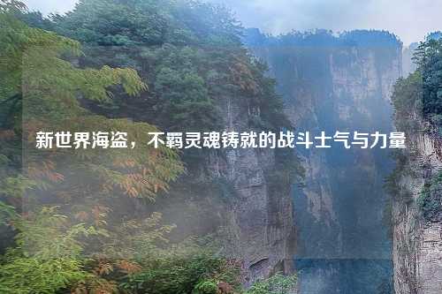 新世界海盗，不羁灵魂铸就的战斗士气与力量