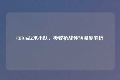 COD16战术小队，极致枪战体验深度解析