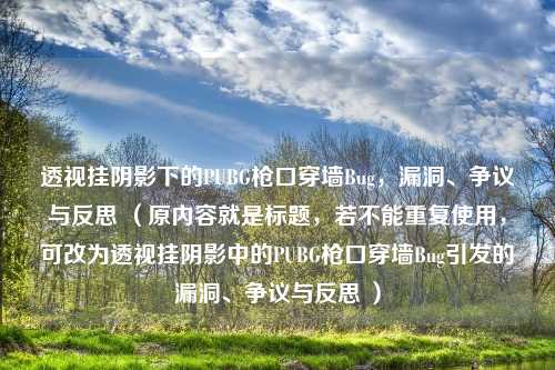 透视挂阴影下的PUBG枪口穿墙Bug，漏洞、争议与反思 （原内容就是标题，若不能重复使用，可改为透视挂阴影中的PUBG枪口穿墙Bug引发的漏洞、争议与反思 ）