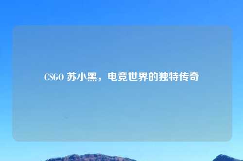 CSGO 苏小黑，电竞世界的独特传奇
