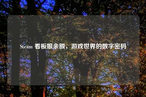 Steam 看板娘余额，游戏世界的数字密码