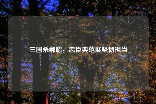 三国杀郝昭，忠臣典范展坚韧担当