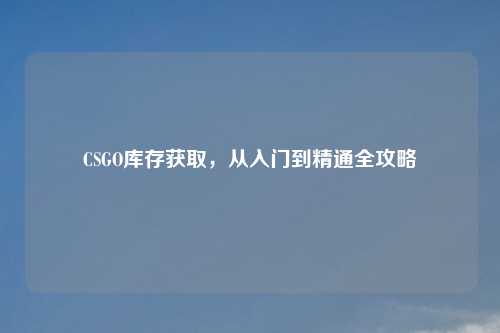 CSGO库存获取，从入门到精通全攻略