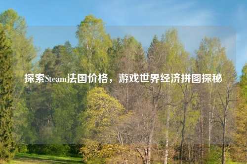 探索Steam法国价格，游戏世界经济拼图探秘