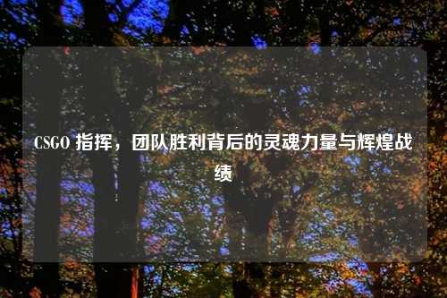 CSGO 指挥，团队胜利背后的灵魂力量与辉煌战绩