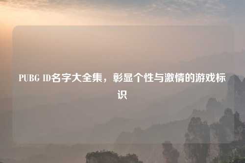 PUBG ID名字大全集，彰显个性与激情的游戏标识