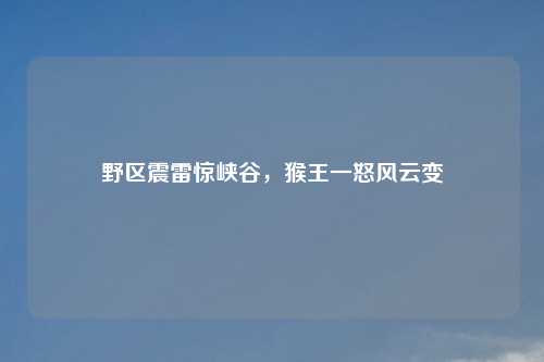 野区震雷惊峡谷，猴王一怒风云变