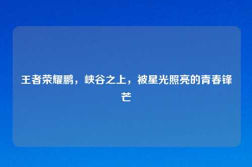 王者荣耀鹏，峡谷之上，被星光照亮的青春锋芒