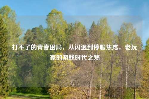 打不了的青春困局，从闪退到停服焦虑，老玩家的游戏时代之殇