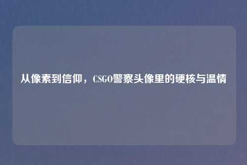 从像素到信仰，CSGO警察头像里的硬核与温情