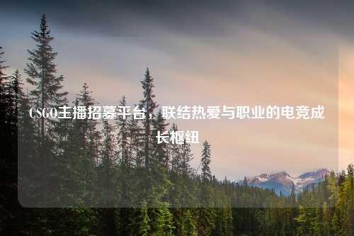 CSGO主播招募平台，联结热爱与职业的电竞成长枢纽