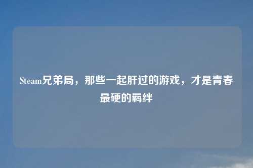 Steam兄弟局，那些一起肝过的游戏，才是青春最硬的羁绊