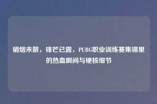 硝烟未散，锋芒已露，PUBG职业训练赛集锦里的热血瞬间与硬核细节