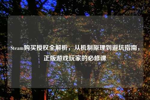 Steam购买授权全解析，从机制原理到避坑指南，正版游戏玩家的必修课