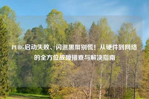 PUBG启动失败、闪退黑屏别慌！从硬件到 *** 的全方位故障排查与解决指南