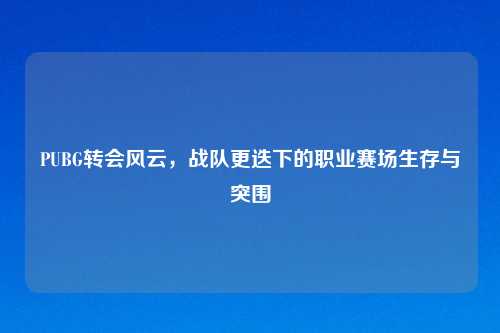 PUBG转会风云，战队更迭下的职业赛场生存与突围