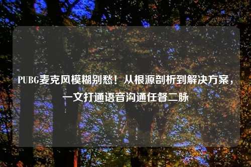 PUBG麦克风模糊别愁！从根源剖析到解决方案，一文打通语音沟通任督二脉
