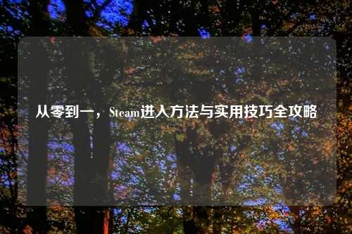 从零到一，Steam进入 *** 与实用技巧全攻略