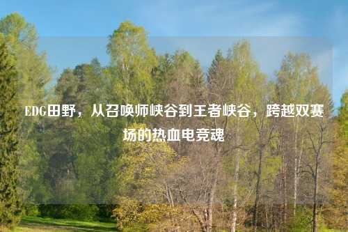 EDG田野，从召唤师峡谷到王者峡谷，跨越双赛场的热血电竞魂