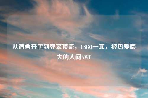 从宿舍开黑到弹幕顶流，CSGO一菲，被热爱喂大的人间AWP