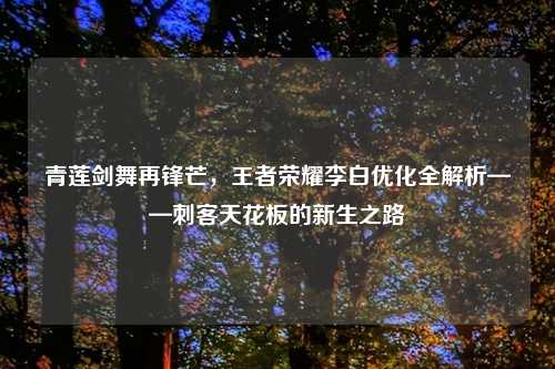 青莲剑舞再锋芒，王者荣耀李白优化全解析——刺客天花板的新生之路