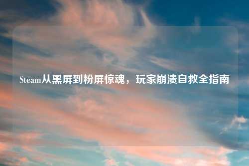 Steam从黑屏到粉屏惊魂，玩家崩溃自救全指南