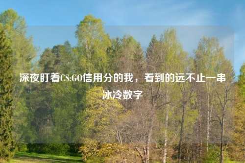 深夜盯着CS:GO信用分的我，看到的远不止一串冰冷数字