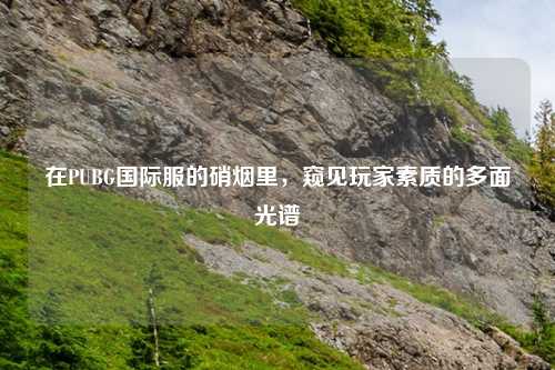 在PUBG国际服的硝烟里，窥见玩家素质的多面光谱