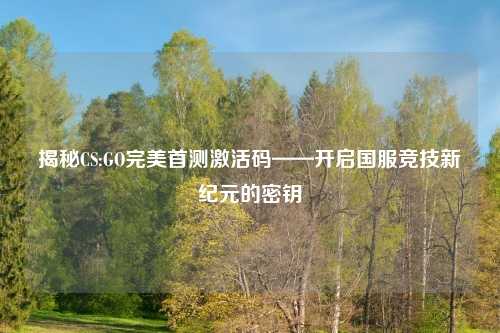 揭秘CS:GO完美首测激活码——开启国服竞技新纪元的密钥