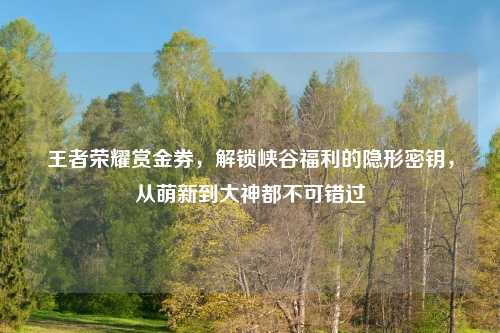 王者荣耀赏金券，解锁峡谷福利的隐形密钥，从萌新到大神都不可错过