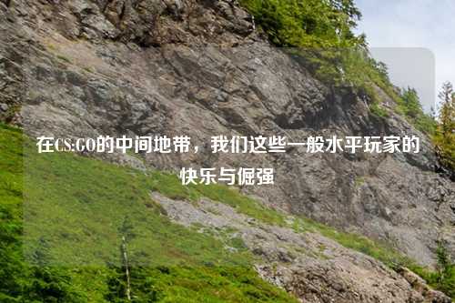 在CS:GO的中间地带，我们这些一般水平玩家的快乐与倔强