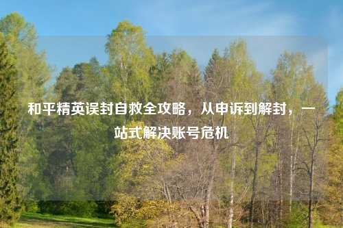 和平精英误封自救全攻略，从申诉到解封，一站式解决账号危机