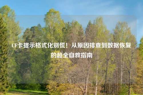 CF卡提示格式化别慌！从原因排查到数据恢复的超全自救指南