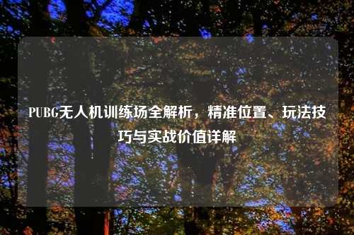PUBG无人机训练场全解析，精准位置、玩法技巧与实战价值详解