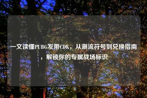 一文读懂PUBG发带CDK，从潮流符号到兑换指南，解锁你的专属战场标识
