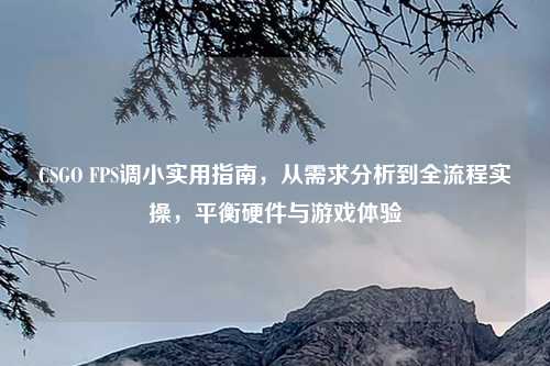 CSGO FPS调小实用指南，从需求分析到全流程实操，平衡硬件与游戏体验