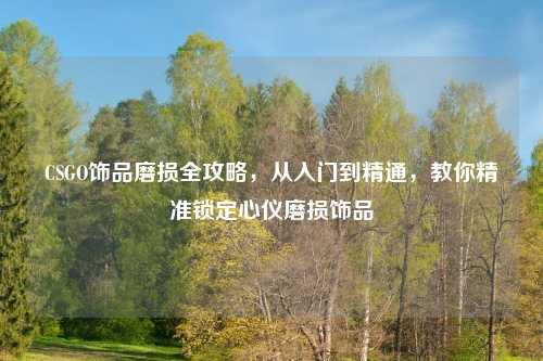 CSGO饰品磨损全攻略，从入门到精通，教你精准锁定心仪磨损饰品